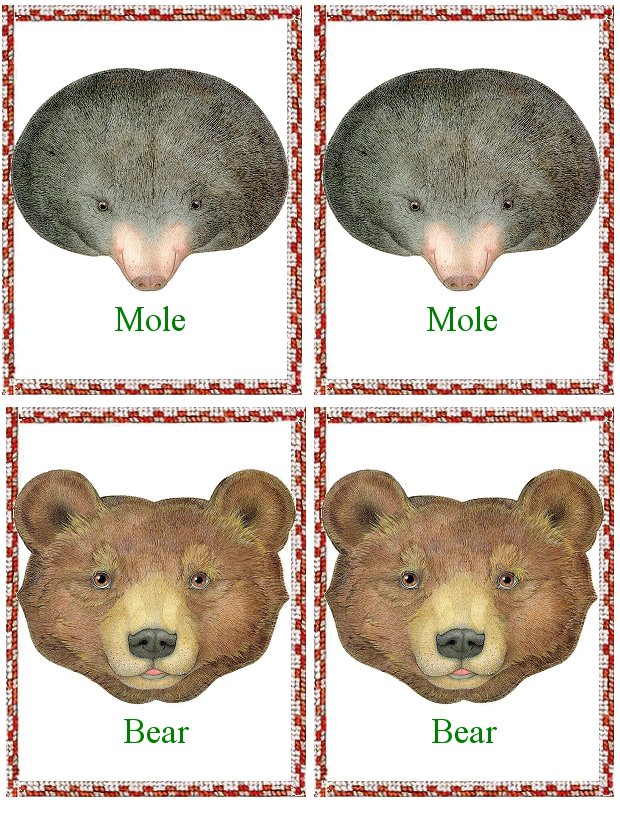 flash_card_animals_mole_and_bear