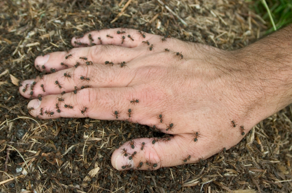 iStock_000006335005XSmall